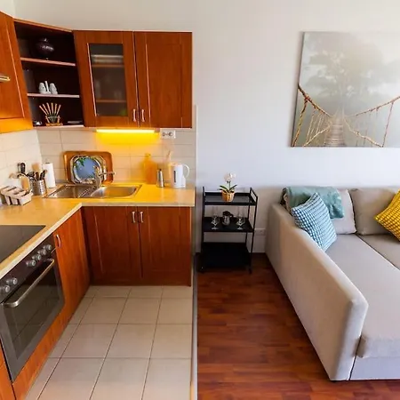 Danube View - Bodor Utca Apartment